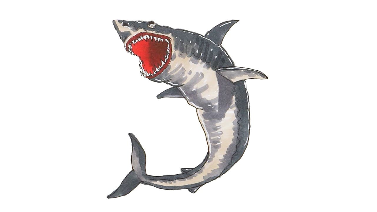 Preview of How to Draw Megalodon Shark |  Easy Step-by-Step Tutorial!