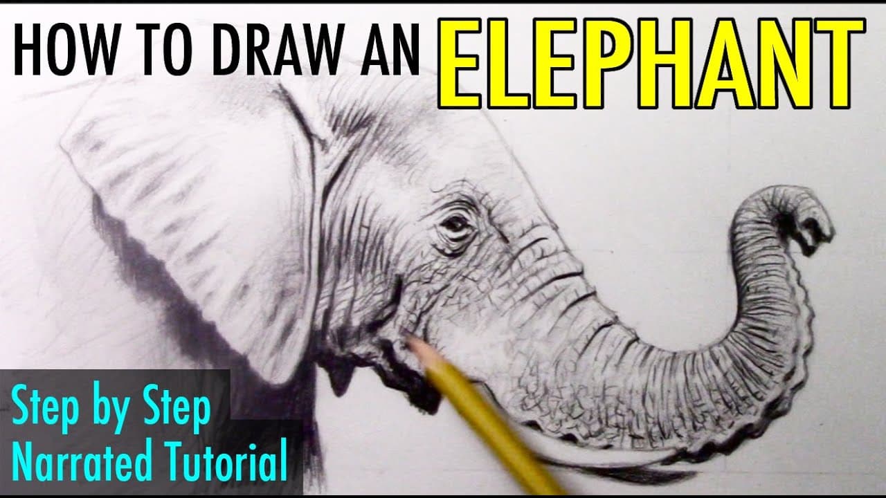 Preview of How to Draw an Elephant