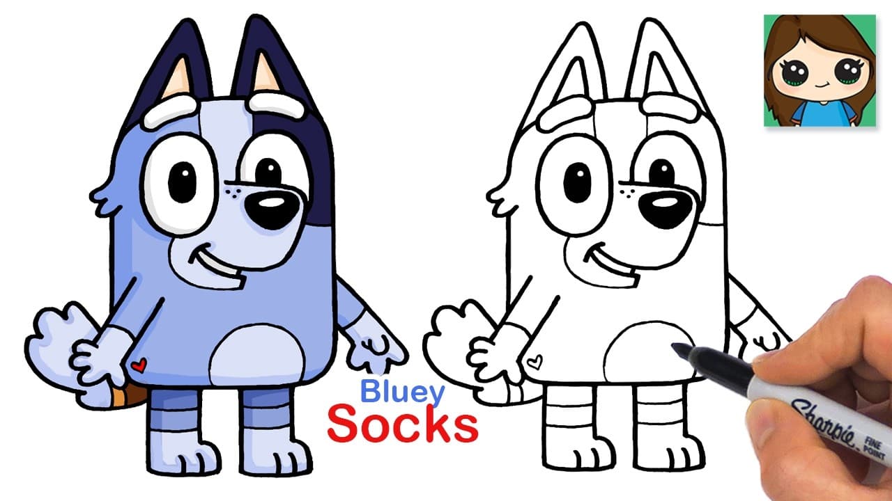 Preview of How to Draw Socks Heeler Dog | Bluey