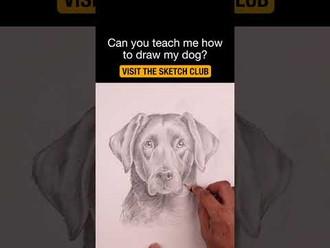 Preview of How to Draw Anything with Simple Shapes