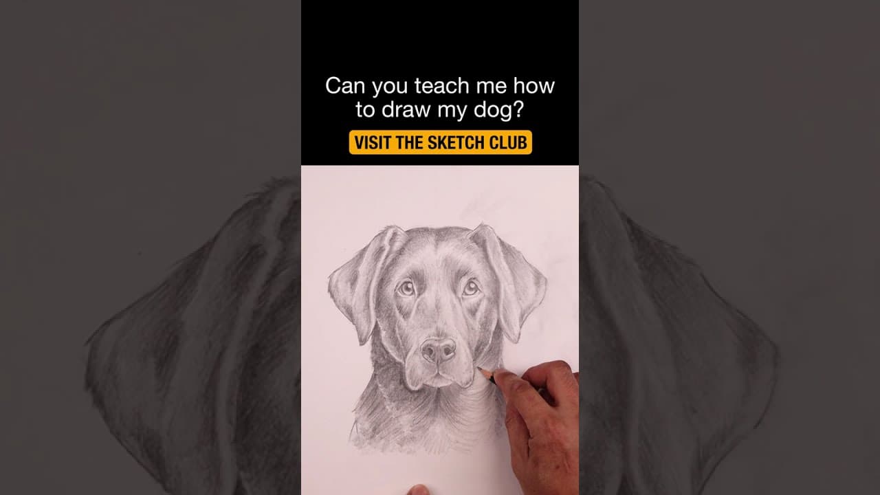 Preview of How to Draw Anything with Simple Shapes