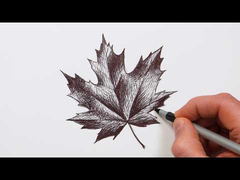 Preview of How to Draw a Leaf  | Step-by-Step Ballpoint Pen Drawing Tutorial!