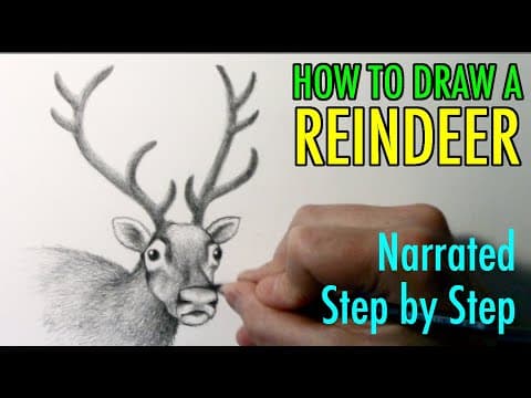 Preview of How to Draw a Reindeer: Narrated Step by Step