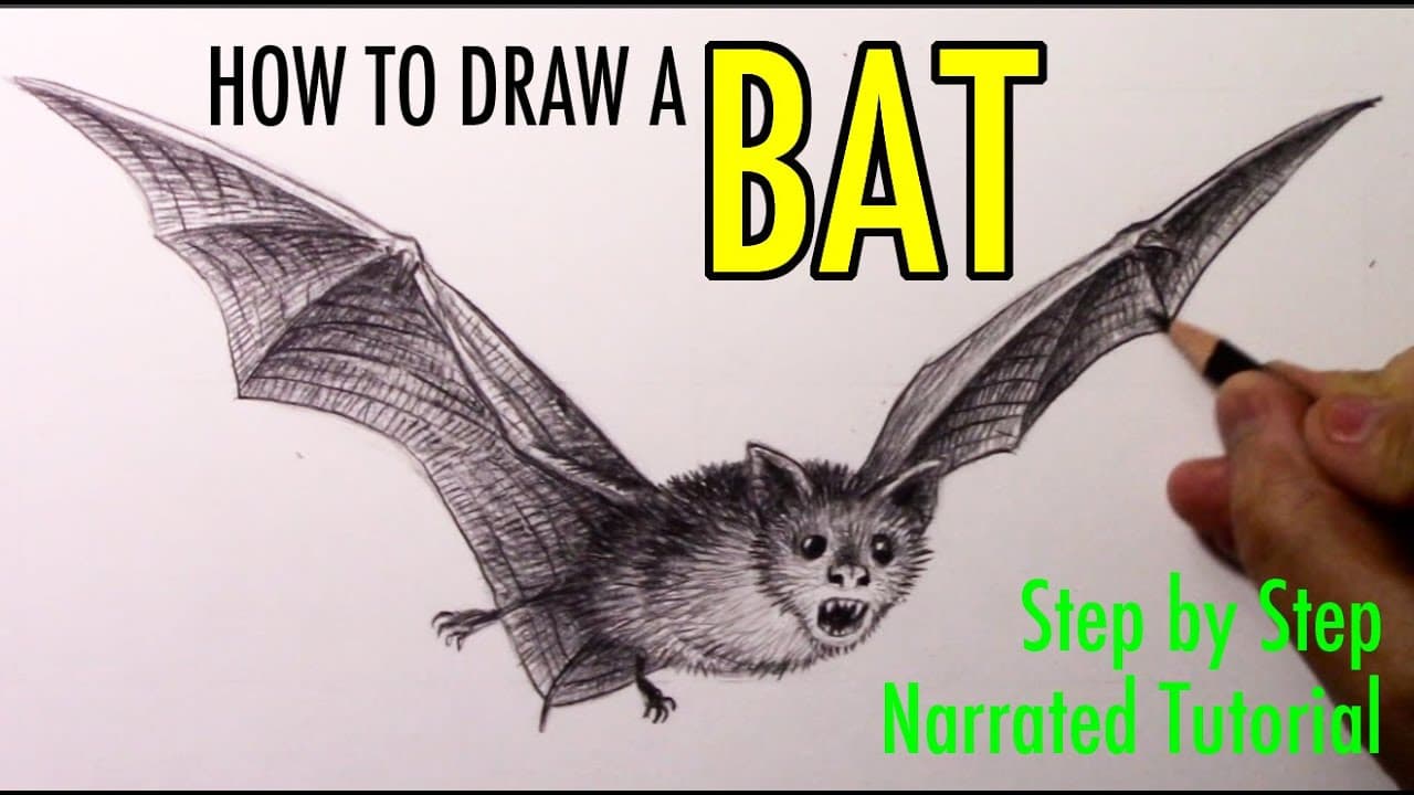Preview of How to Draw a Bat: Step by Step, Narrated Tutorial