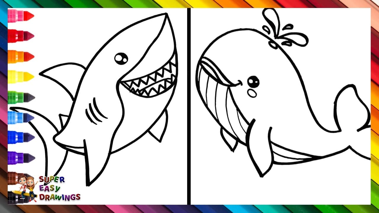 Preview of Draw and Color a Shark and a Whale 🦈🐳🌊🌈 Drawings for Kids