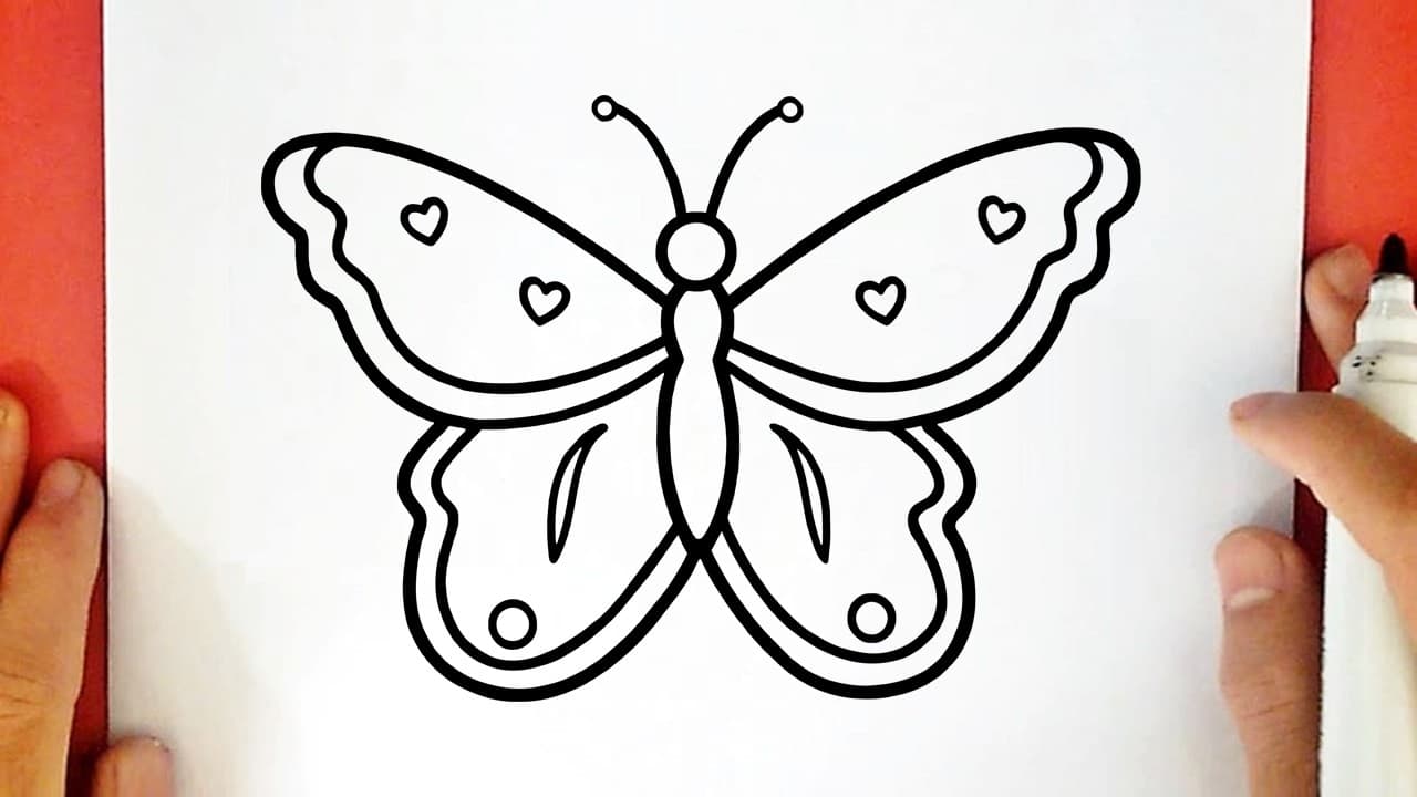 Preview of How to draw a BUTTERFLY