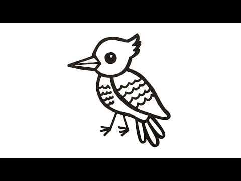 Preview of How to Draw a Bird | Super Easy Step-by-Step Tutorial!