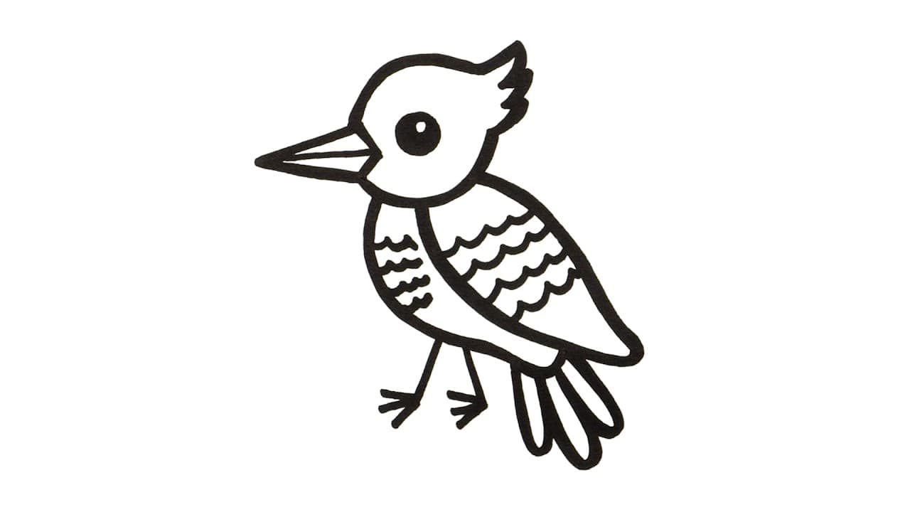 Preview of How to Draw a Bird | Super Easy Step-by-Step Tutorial!