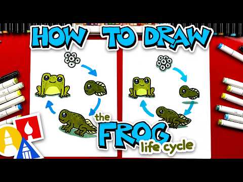 Preview of How To Draw The Frog Life Cycle