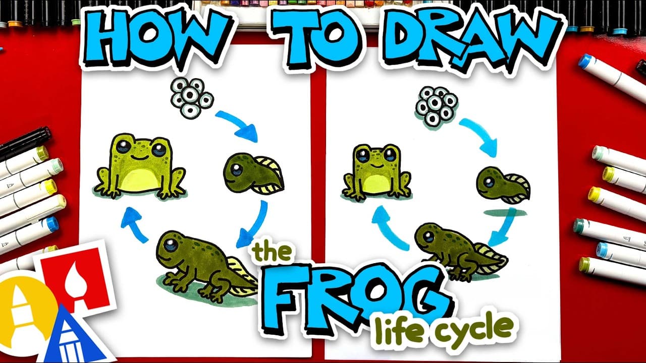 Preview of How To Draw The Frog Life Cycle