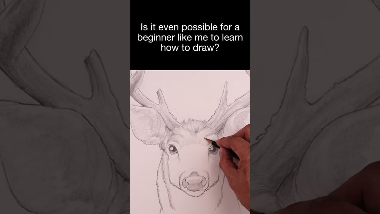 Preview of Can Anyone Learn to Draw?