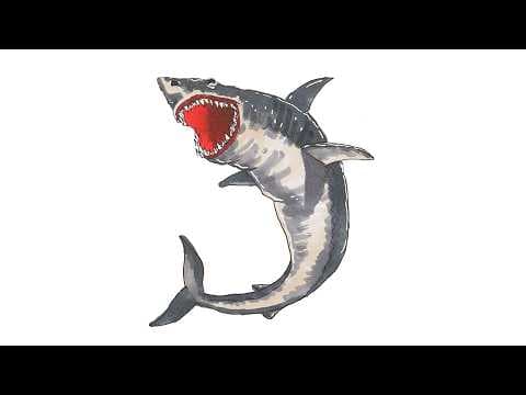Preview of How to Draw Megalodon Shark | Easy Step-by-Step Tutorial!