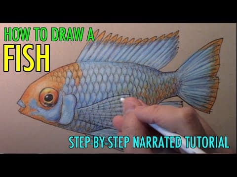 Preview of How to Draw a Fish, Full Color: Narrated Step-by-Step Tutorial