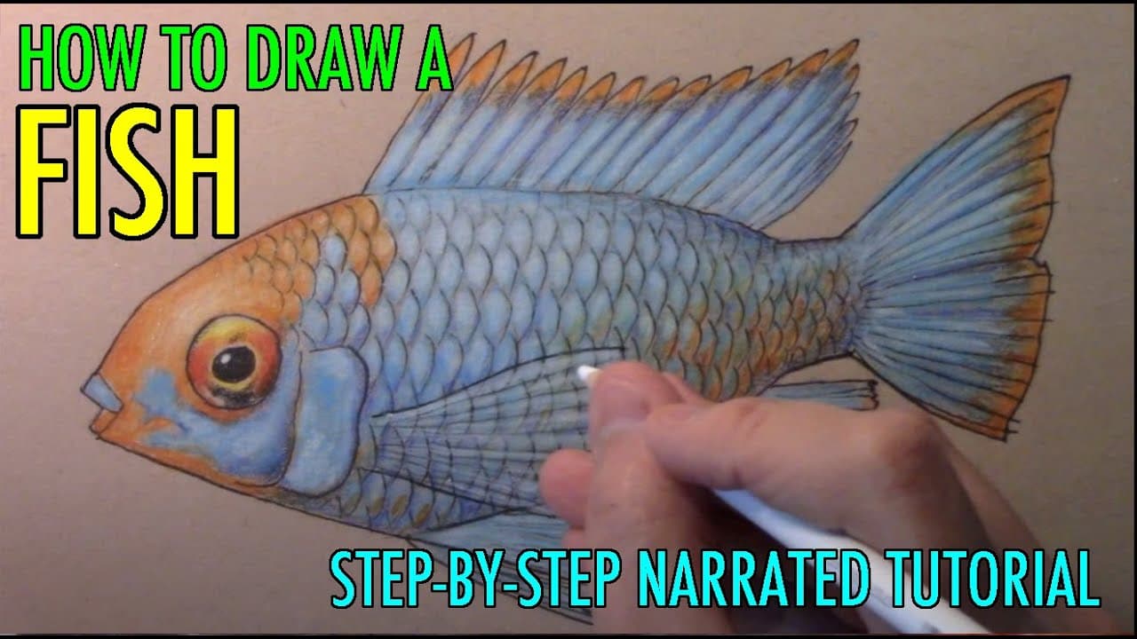 Preview of How to Draw a Fish, Full Color: Narrated Step-by-Step Tutorial