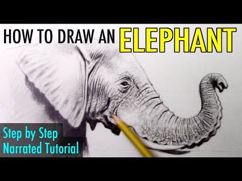 Preview of How to Draw an Elephant