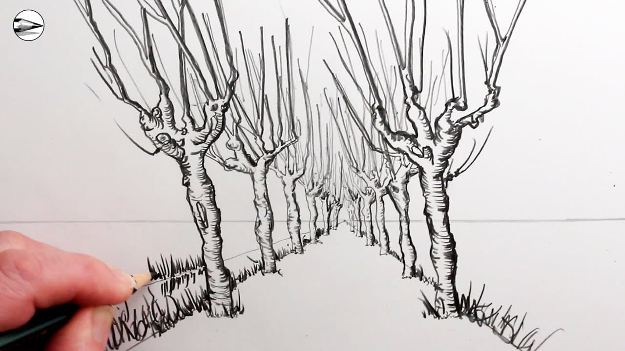 Preview of How to Draw Tree Avenue Van Gogh Narrated Drawing Tutorial for Beginners