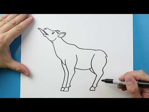 Preview of How to Draw an Okapi