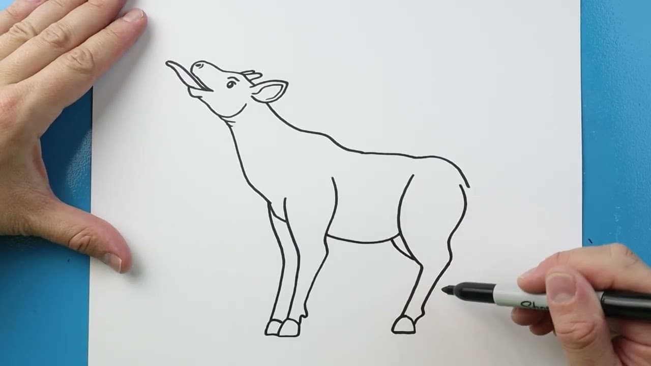 Preview of How to Draw an Okapi
