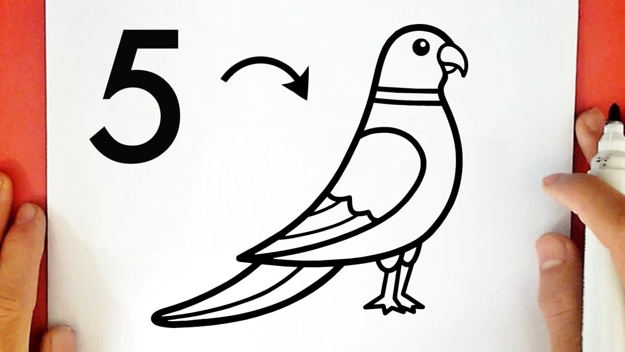 Preview of How to draw a PARROT from NUMBER 5