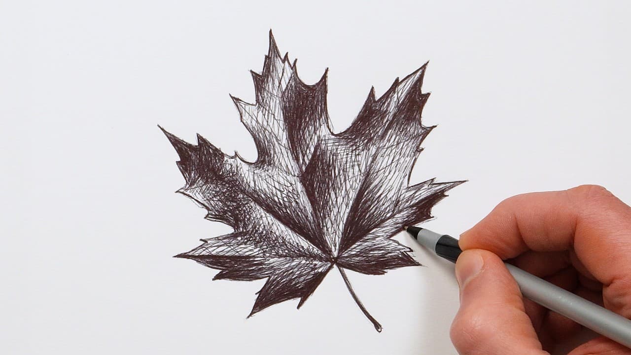 Preview of How to Draw a Leaf | Step-by-Step Ballpoint Pen Drawing Tutorial!