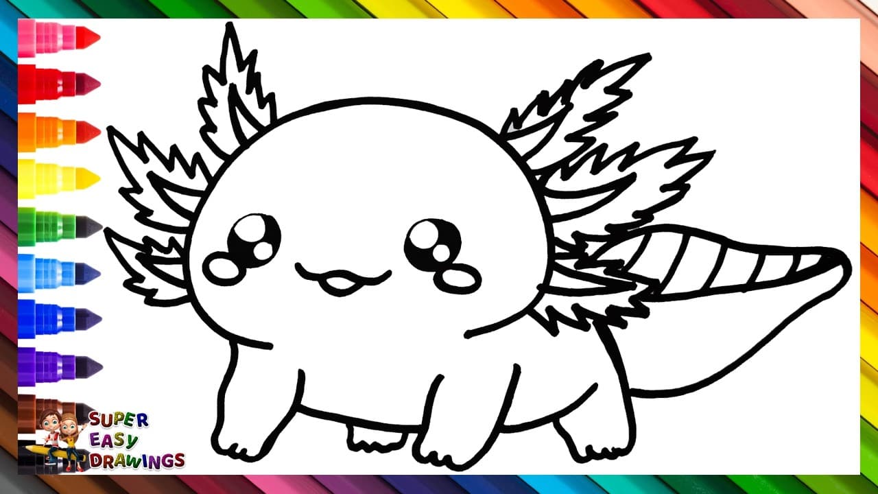 Preview of Draw and Color a Cute Axolotl πππ Drawings for Kids