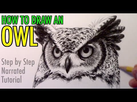 Preview of How to Draw an Owl: Narrated Step-by-Step Tutorial