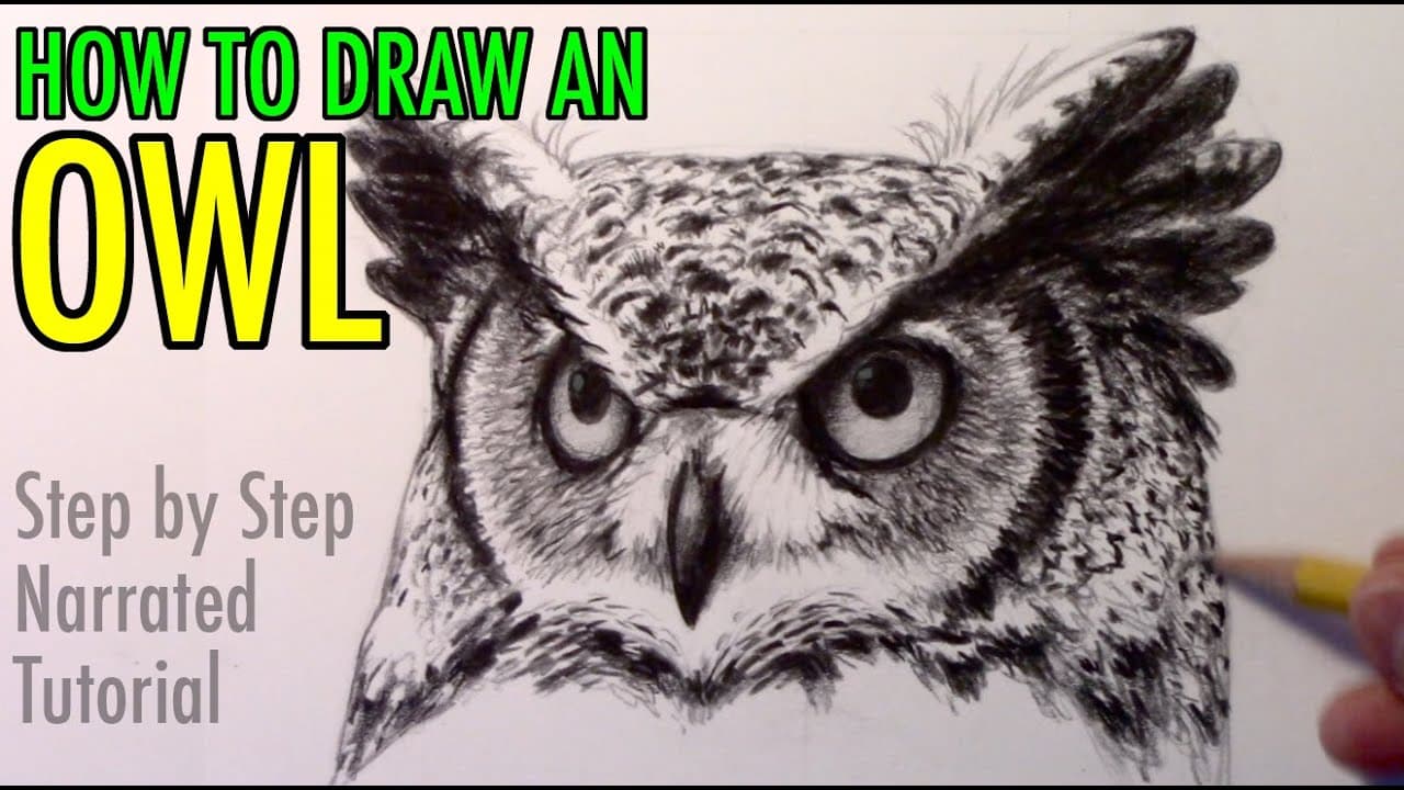 Preview of How to Draw an Owl: Narrated Step-by-Step Tutorial