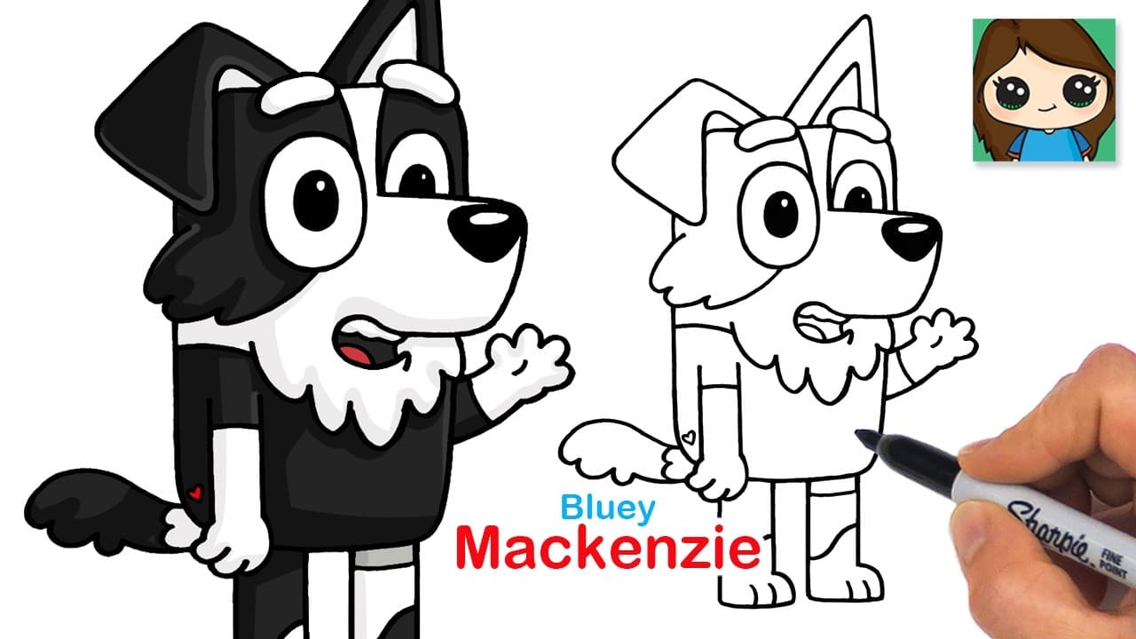 Preview of How to Draw Mackenzie Border Collie Dog | Bluey