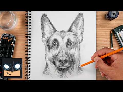 Preview of How to Draw German Shepherd Dog | Step-by-Step Drawing Tutorial