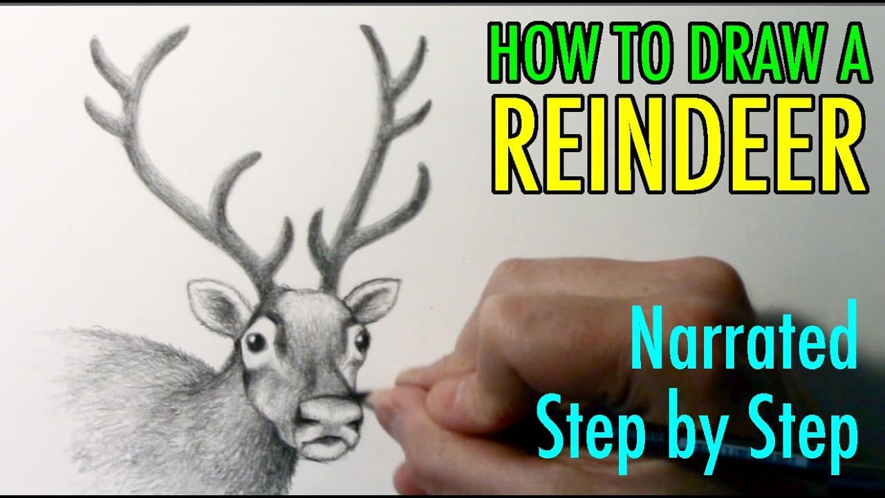 Preview of How to Draw a Reindeer: Narrated Step by Step