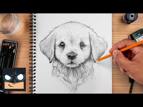 Preview of How to Draw a Golden Lab Puppy | Easy Dog Sketch Tutorial