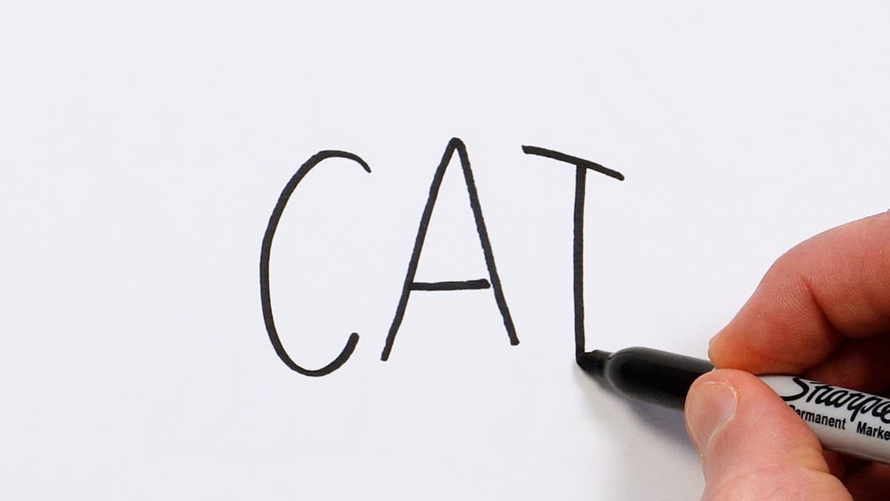 Preview of How to Draw a Cat from the Word π± Super Easy Step-by-Step Tutorial!