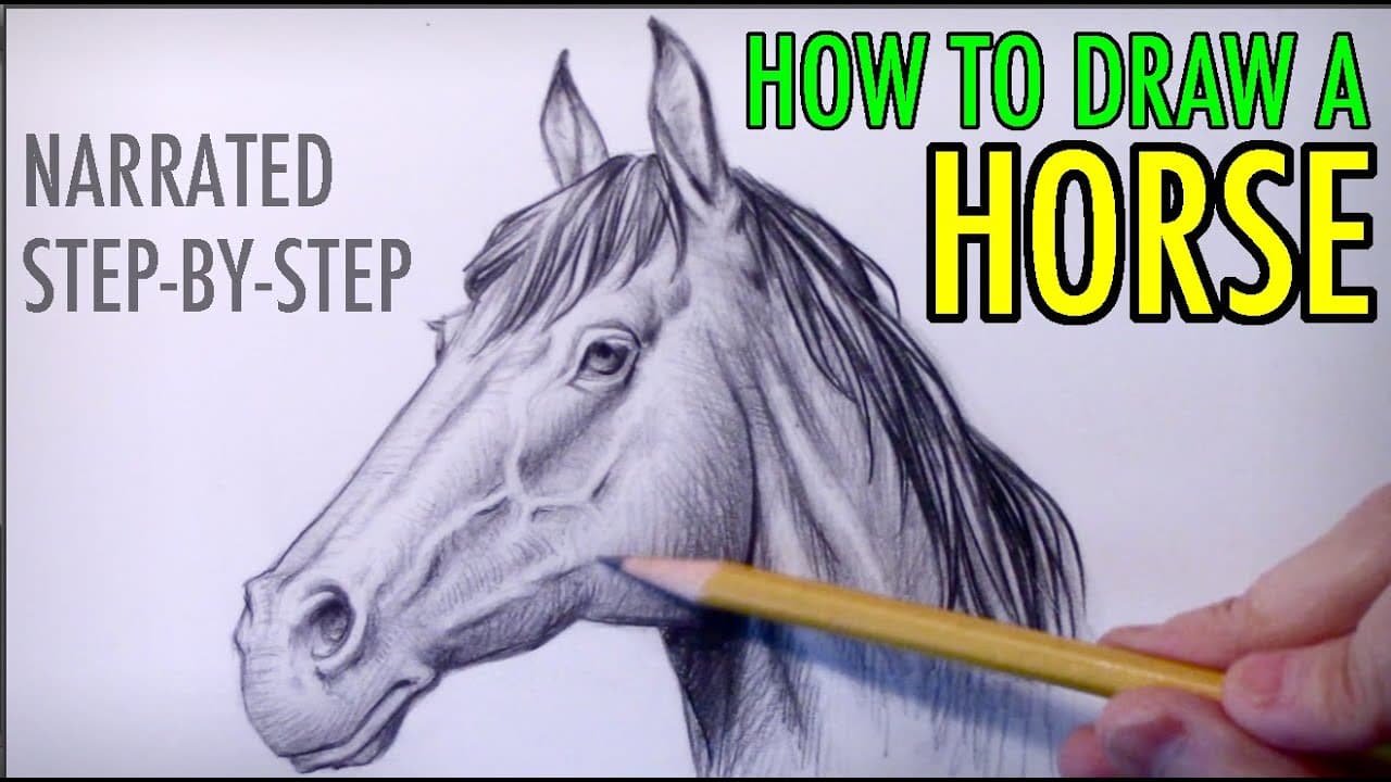 Preview of How to Draw a Horse: Narrated Step-by-Step Tutorial