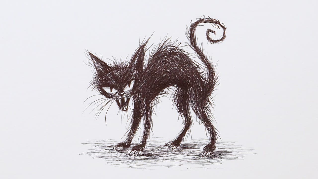 Preview of How to Draw Halloween Black Cat | Step-by-Step Ballpoint Pen Drawing Tutorial!