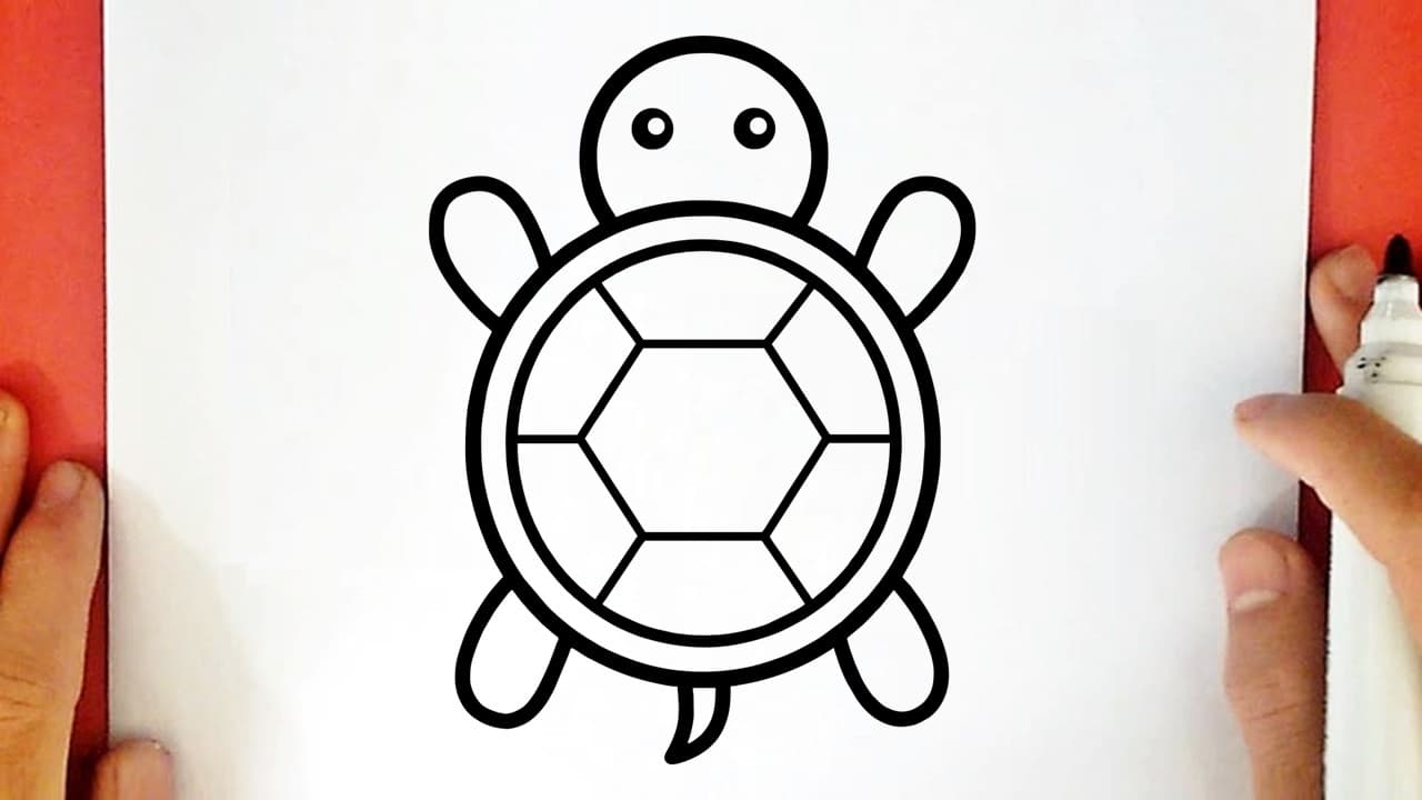 Preview of How to draw a CUTE TURTLE
